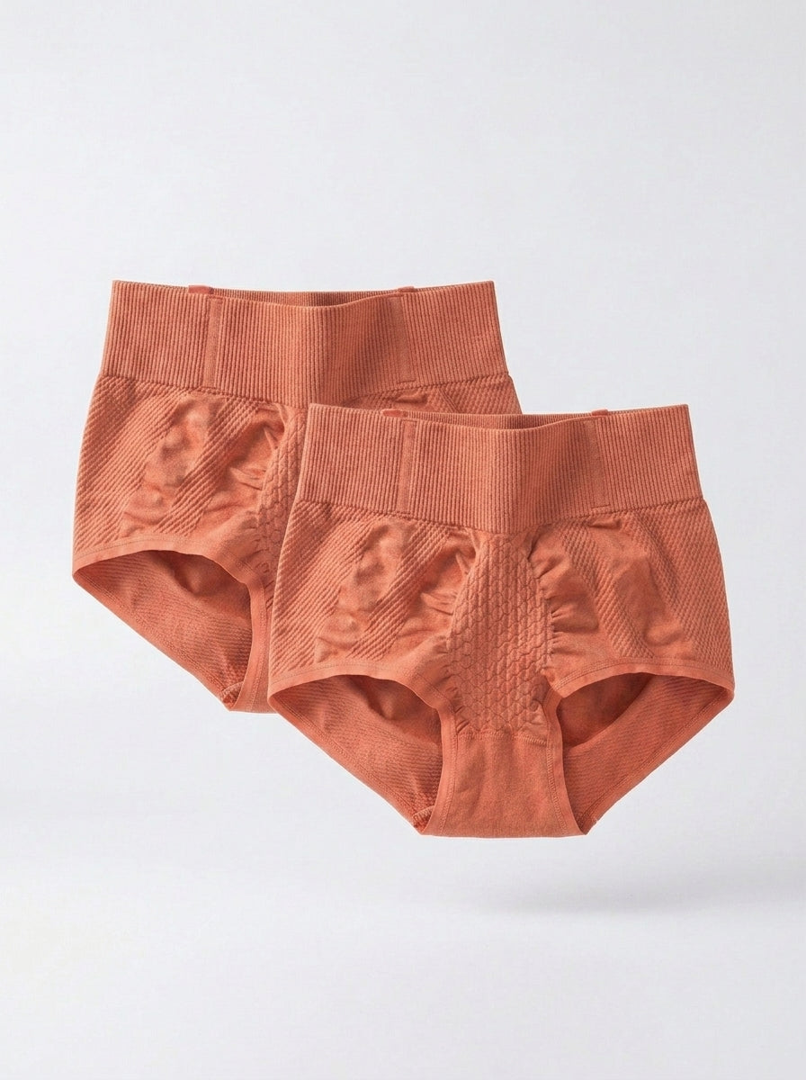 2-Pack Ribbed Seamless High-Waisted Briefs | Tummy Smoothing Comfort